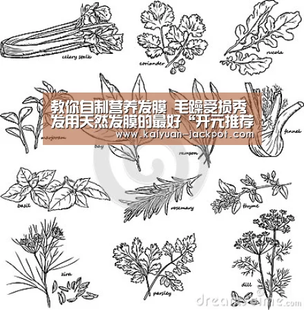 教你自制营养发膜 毛躁受损秀发用天然发膜的最好“开元推荐”(图3) 开元官网