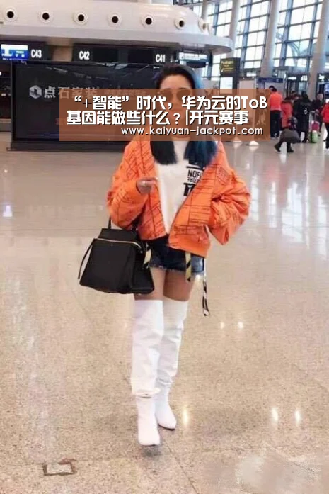 “+智能”时代,华为云的ToB基因能做些什么?|开元赛事(图2) 开元官网