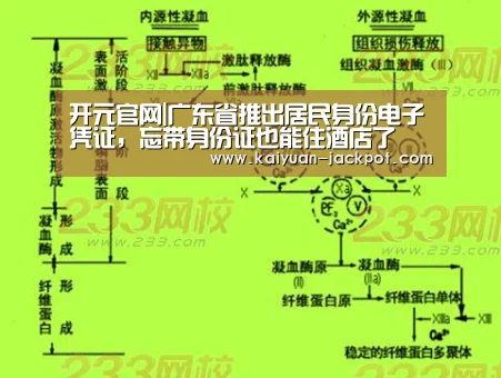 开元官网|广东省推出居民身份电子凭证,忘带身份证也能住酒店了(图3) 开元下载